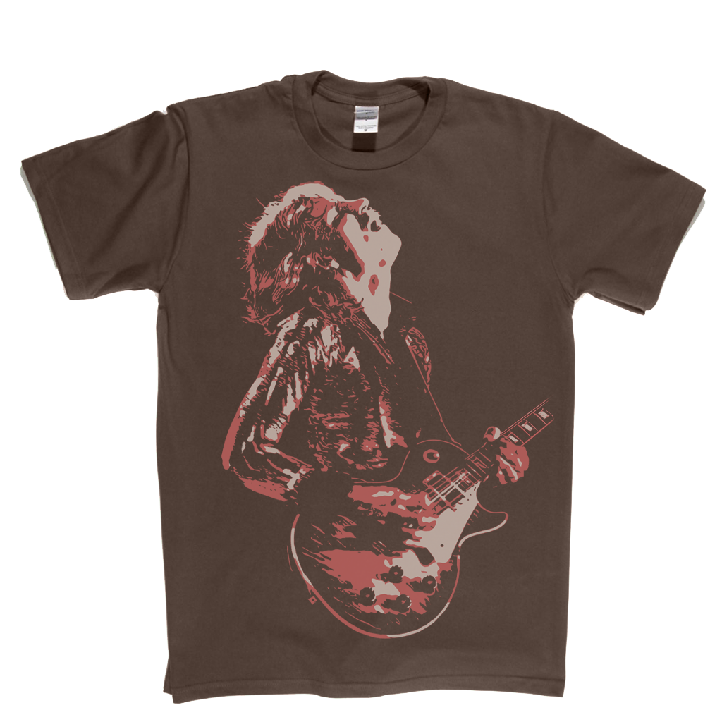 Joe Walsh 1973 T-Shirt