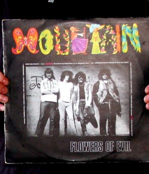 Mountain - Flowers of Evil