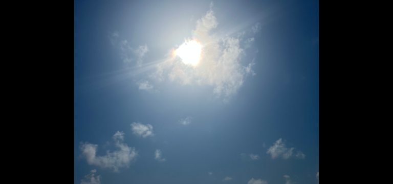 Sunny Skies