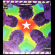 Steppenwolf - The Second