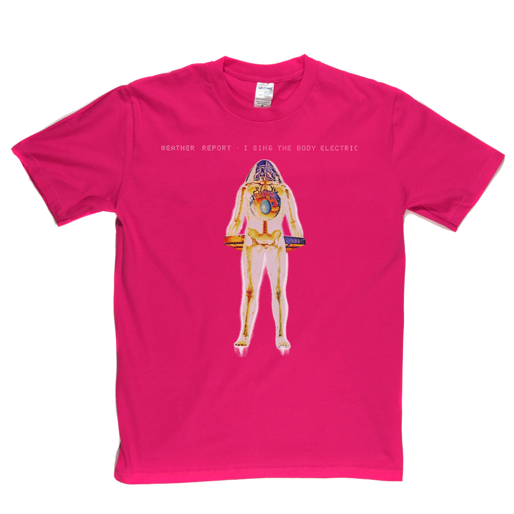 Weather Report I Sing The Body Electric T-Shirt
