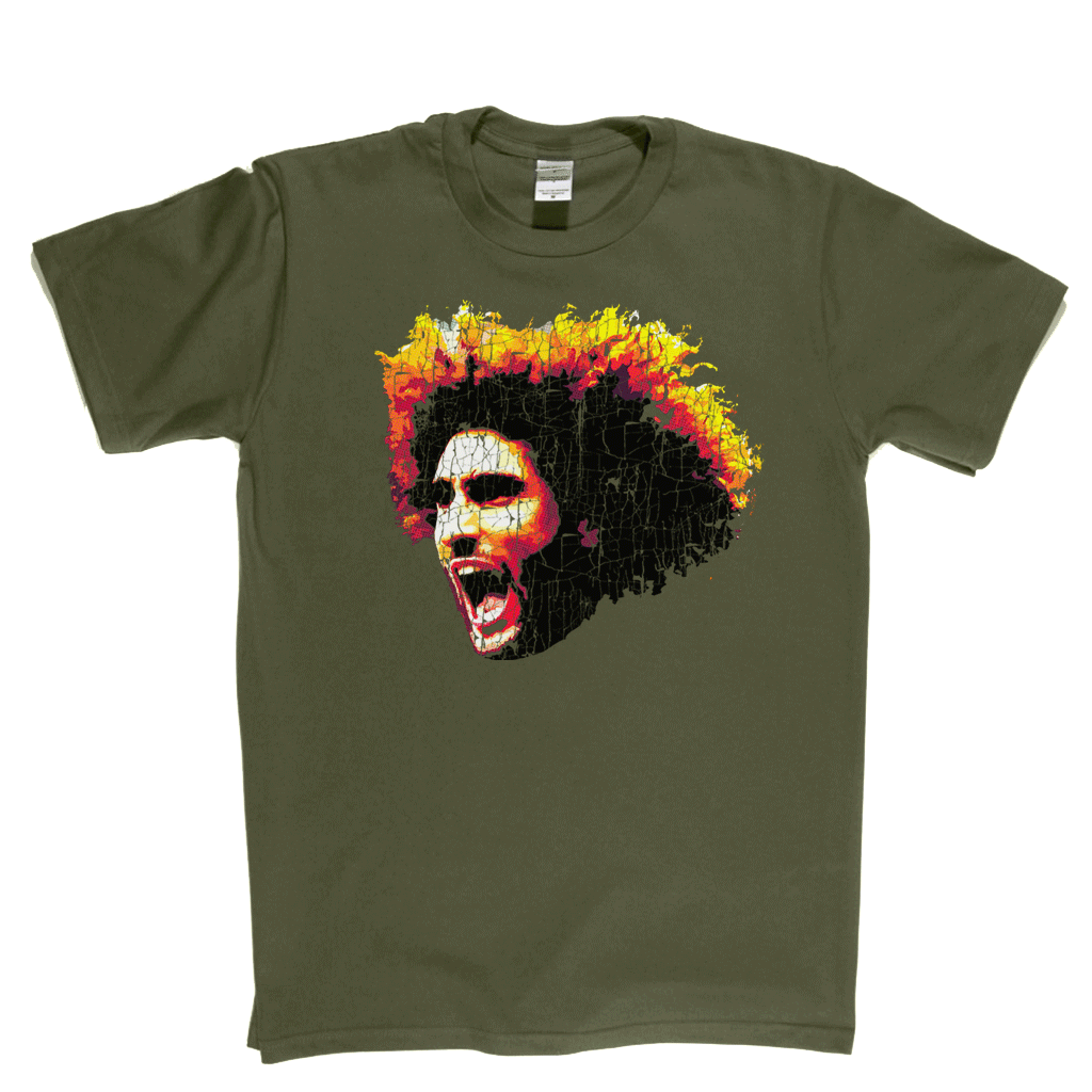 Marouane Fellaini Regular T-Shirt