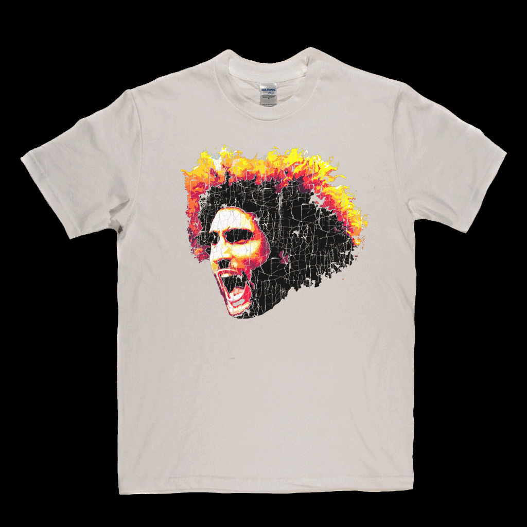 Marouane Fellaini Regular T-Shirt
