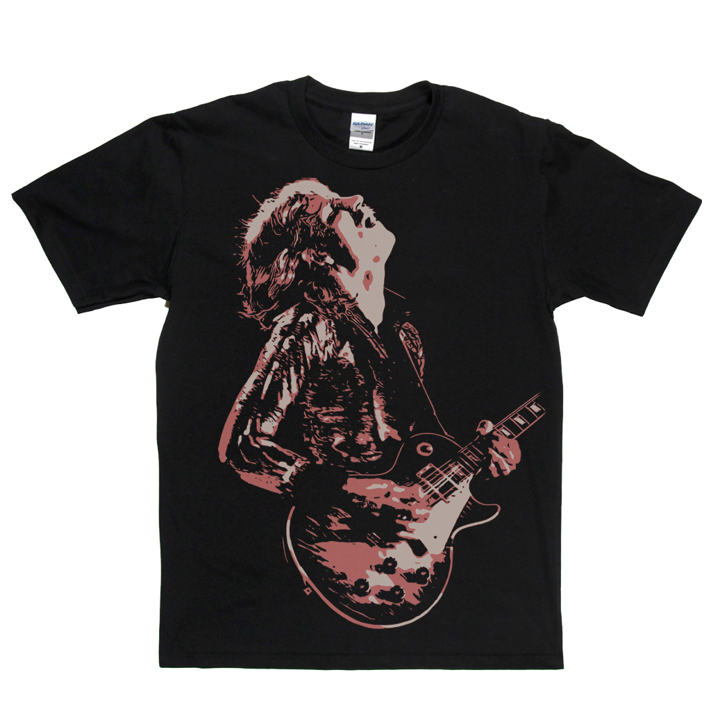 Joe Walsh 1973 T-Shirt