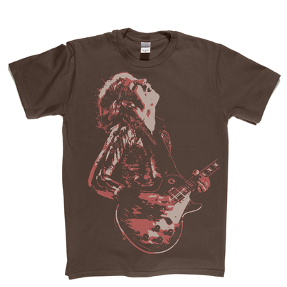 Joe Walsh 1973 T-Shirt
