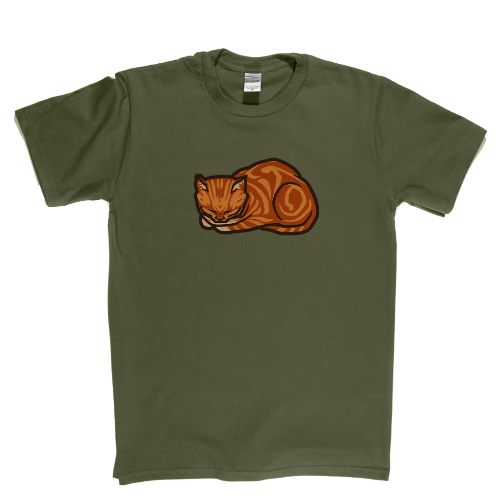 Ginger Cat