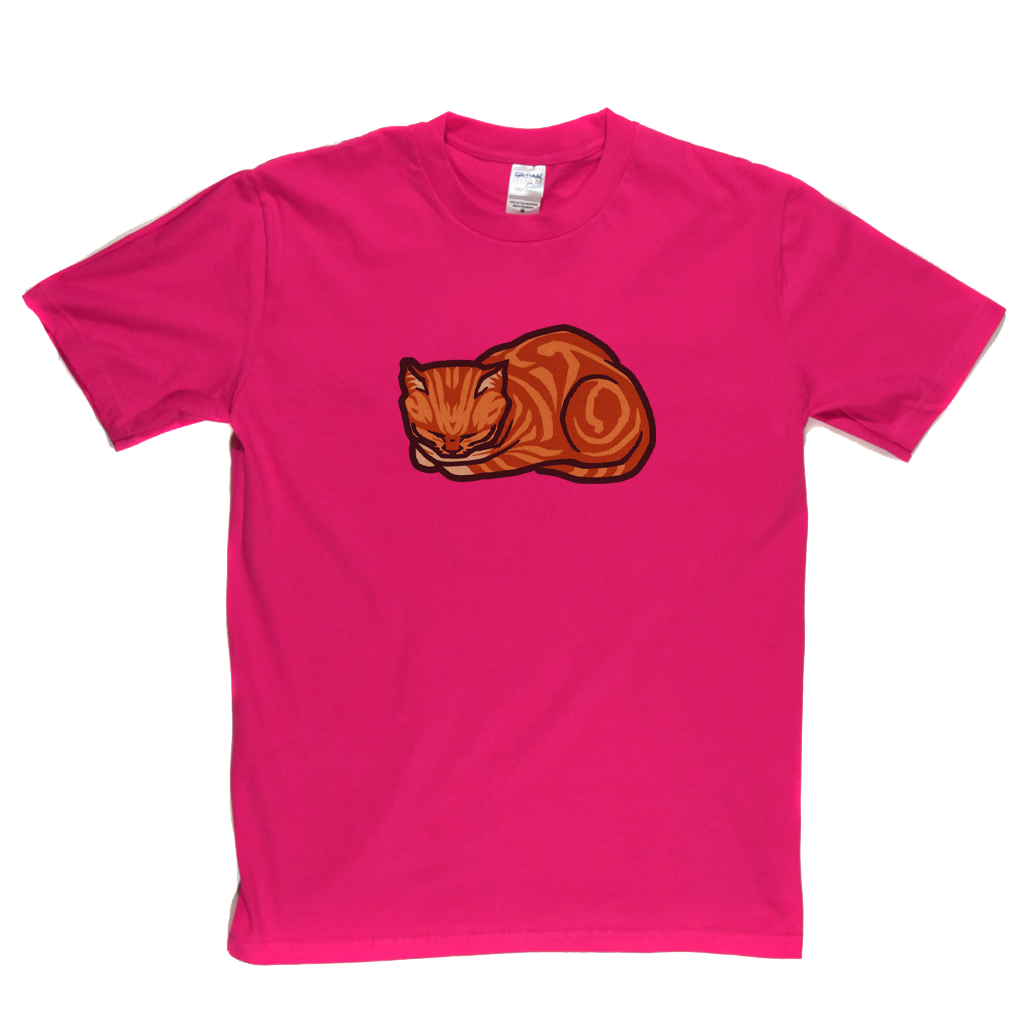 Ginger Cat