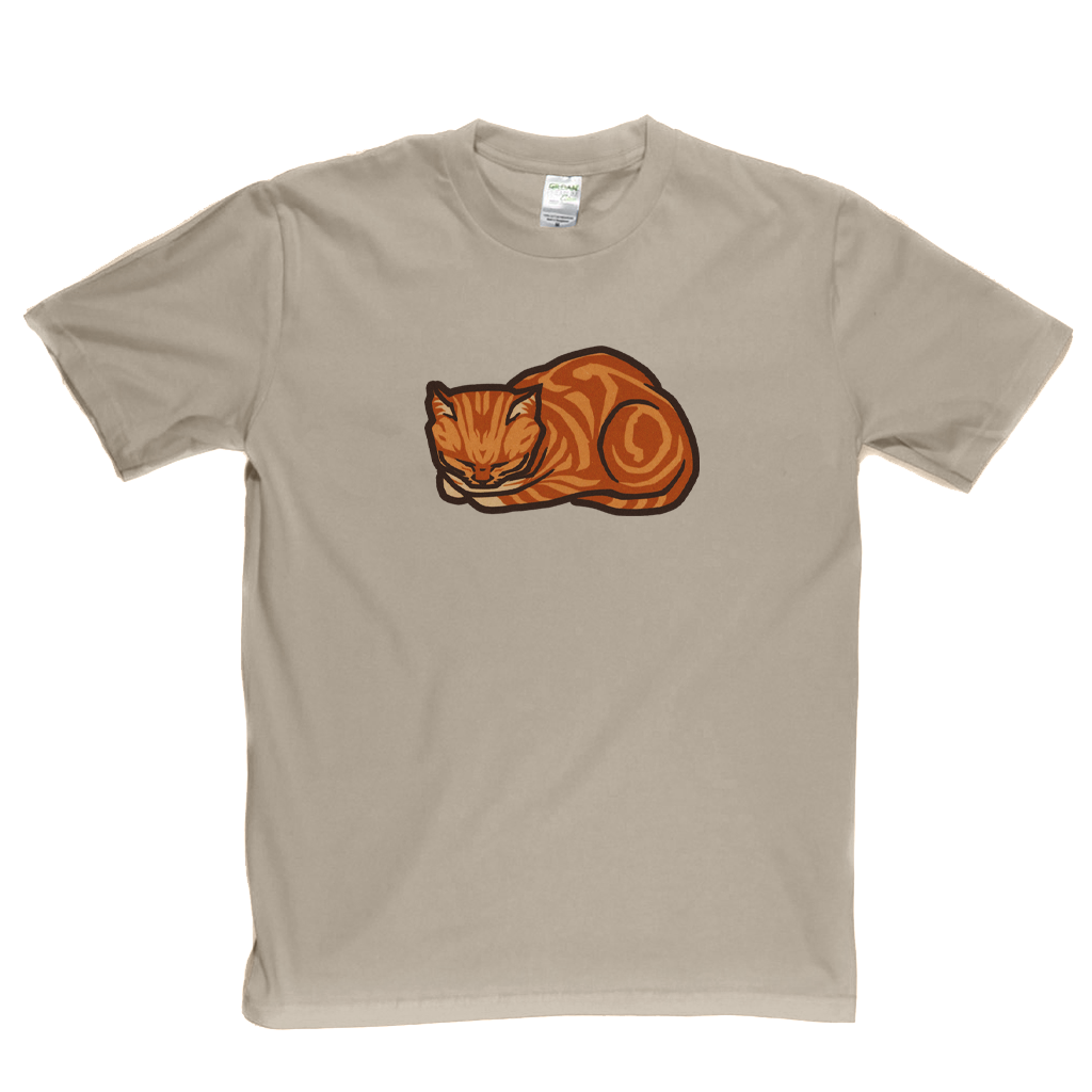Ginger Cat