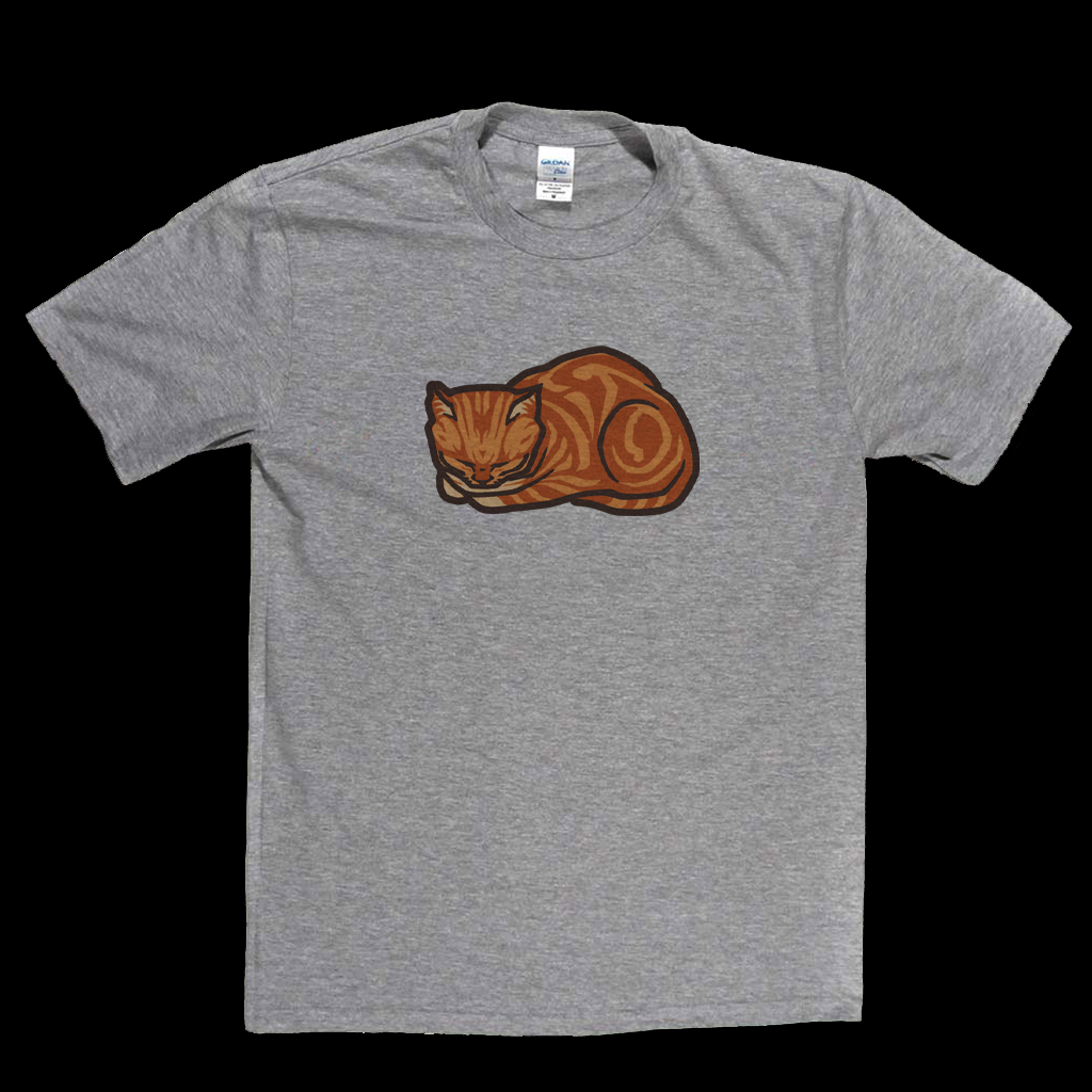 Ginger Cat
