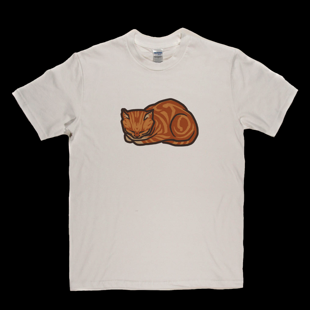 Ginger Cat