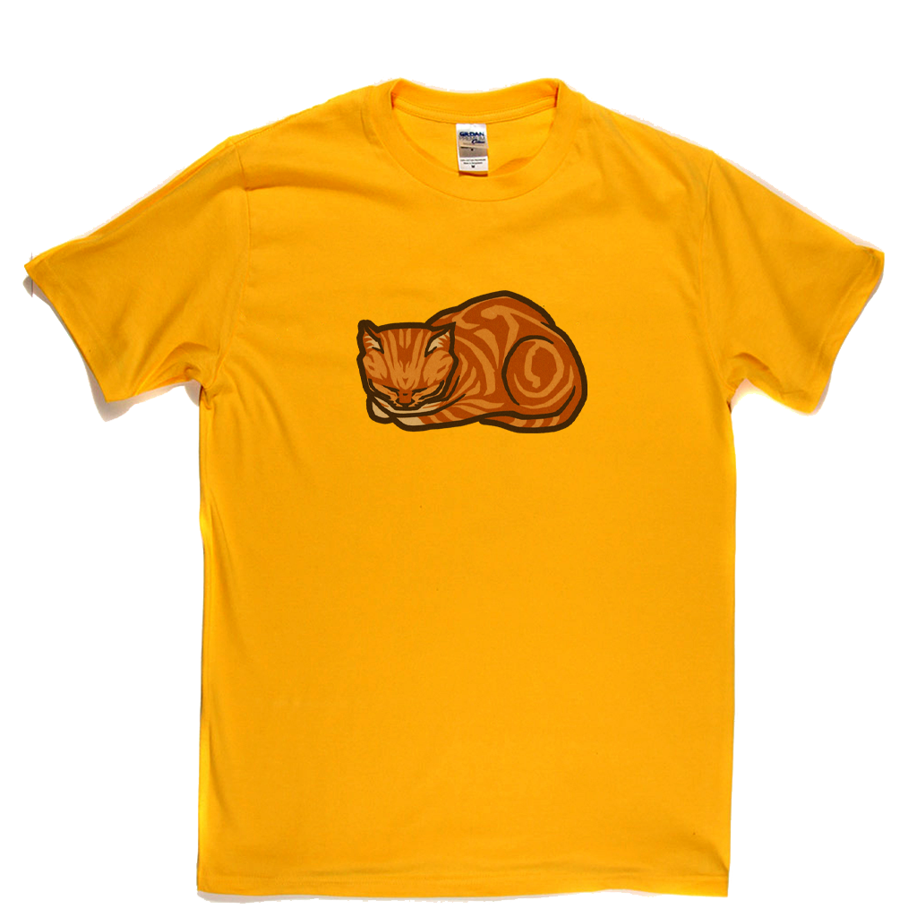 Ginger Cat