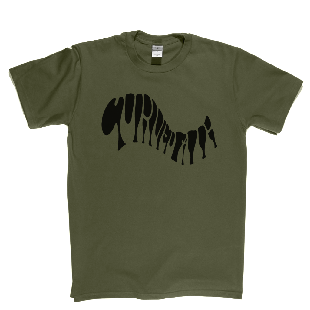 Curved Air Text T-Shirt