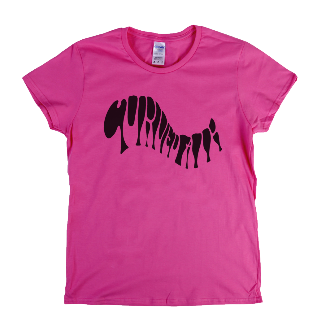 Curved Air Text Womens T-Shirt