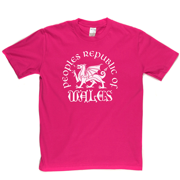 Republic of Wales T Shirt