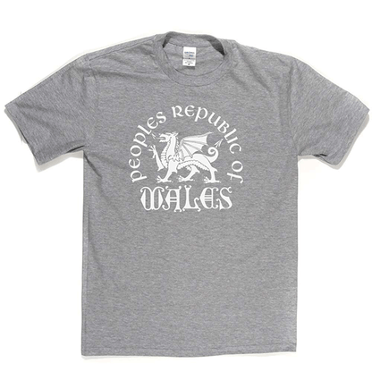 Republic of Wales T Shirt