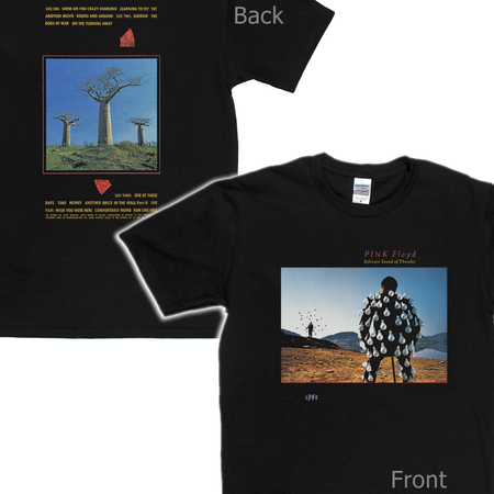 Pink Floyd A Delicate Sound Of Thunder Front And Back T-Shirt