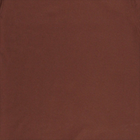 Mandolin T-shirt