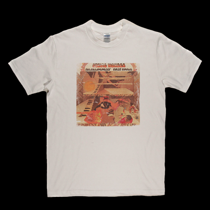 Stevie Wonder Fullfillingness First Finale T-Shirt