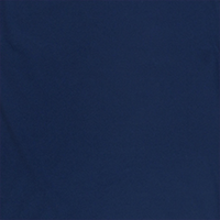 Mandolin T-shirt