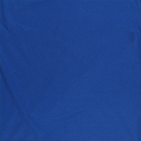 Mandolin T-shirt